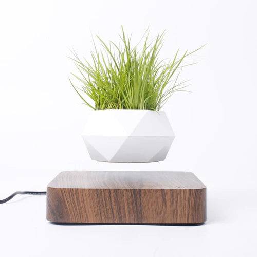 Vaso Flutuante para Plantas - Levitação Magnética - Loja Marviva