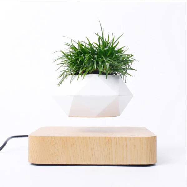 Vaso Flutuante para Plantas - Levitação Magnética - Loja Marviva