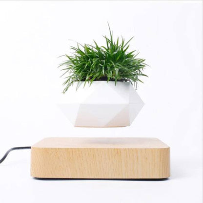 Vaso Flutuante para Plantas - Levitação Magnética - Loja Marviva