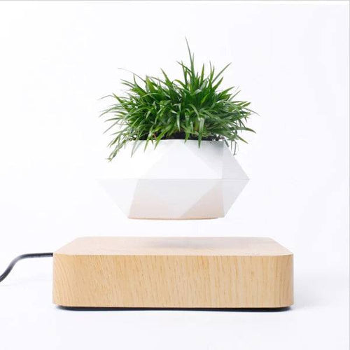 Vaso Flutuante para Plantas - Levitação Magnética - Loja Marviva