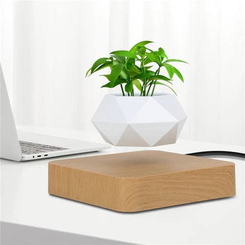 Vaso Flutuante para Plantas - Levitação Magnética - Loja Marviva
